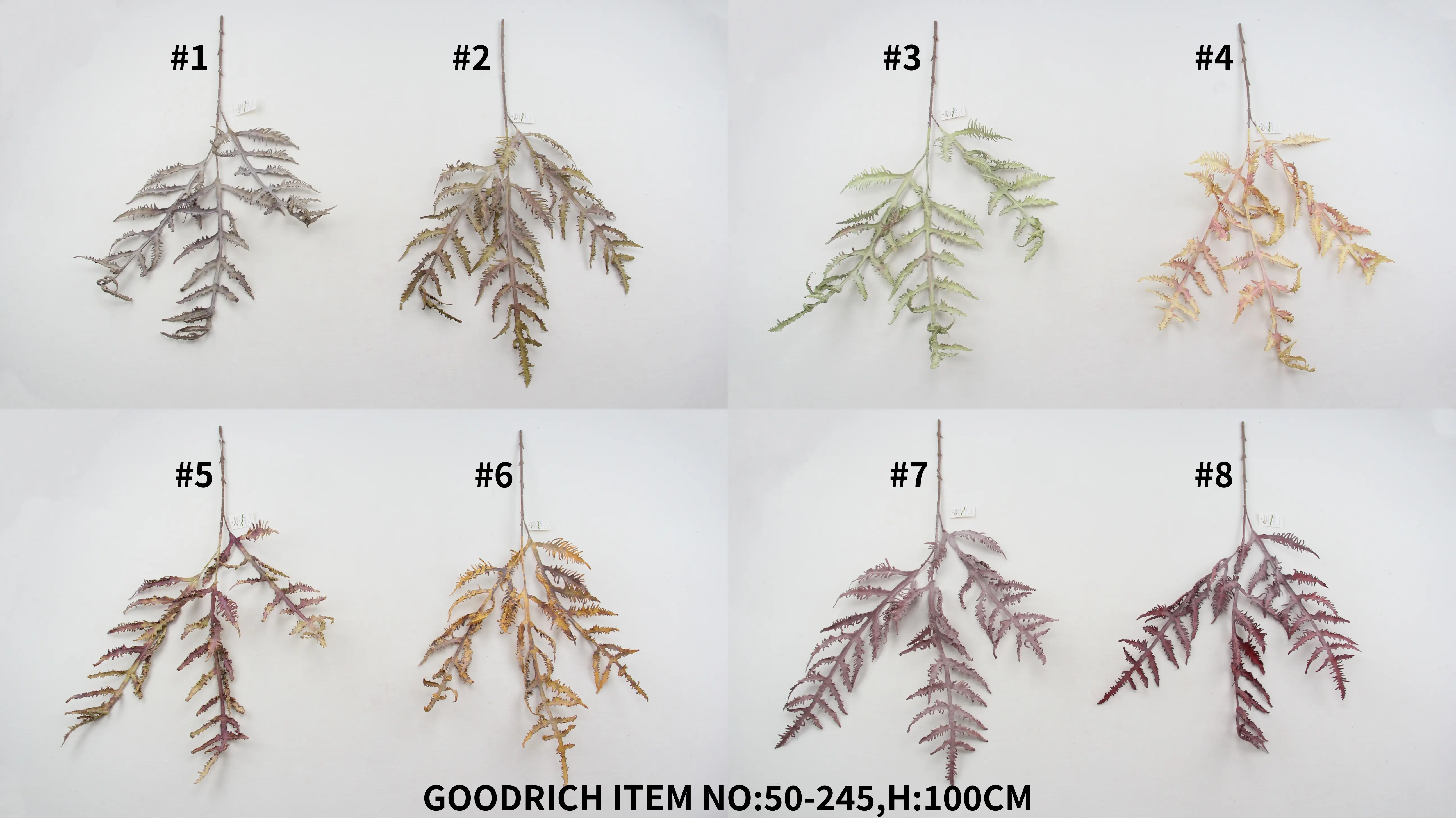 Single flowers 50-245