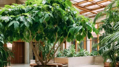 5 Amazing Benefits of Using Artificial Foliage Plants for Your Business Needs