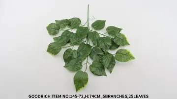 Leaves 145-72