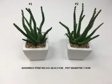 Pot flowers 141-60