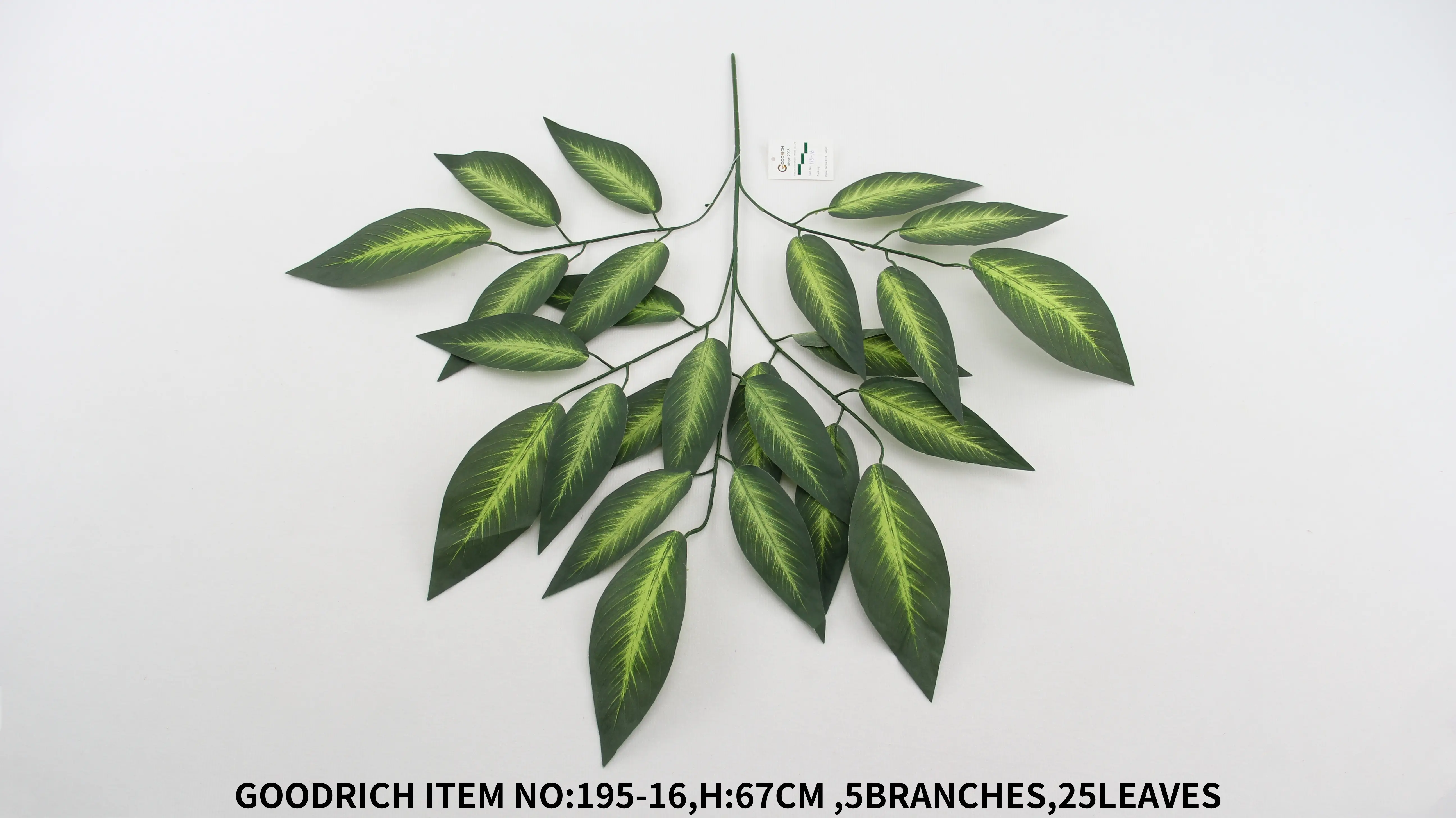 Leaves 195-16