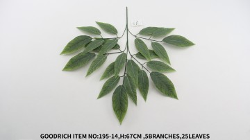 Leaves 195-14